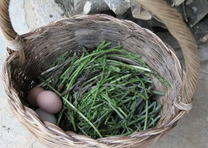 Landgut Mit Blick Auf Wasser By Interhome Apartment *