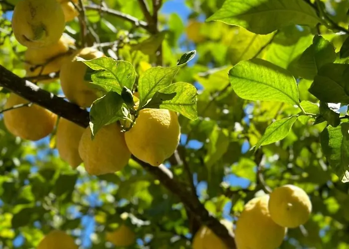 Landgut Mit Blick Auf Wasser By Interhome * Girifalco