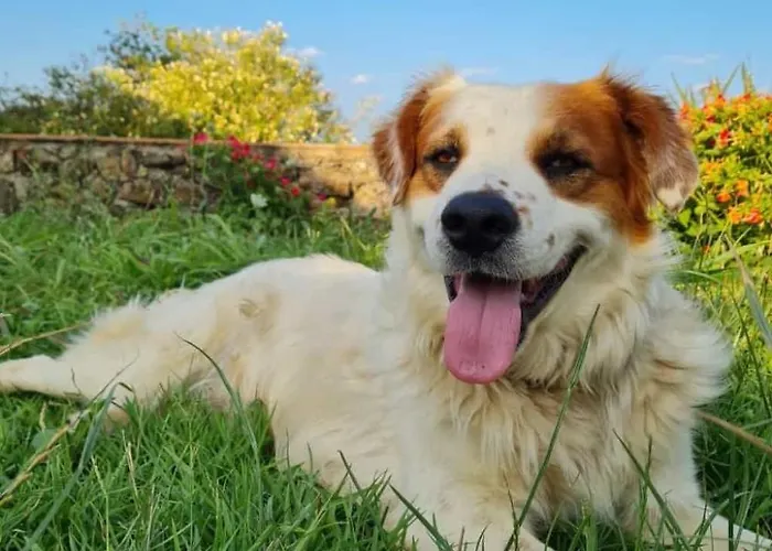 公寓 Landgut Mit Blick Auf Wasser By Interhome *