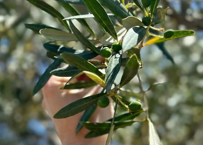 Landgut Mit Blick Auf Wasser By Interhome Girifalco